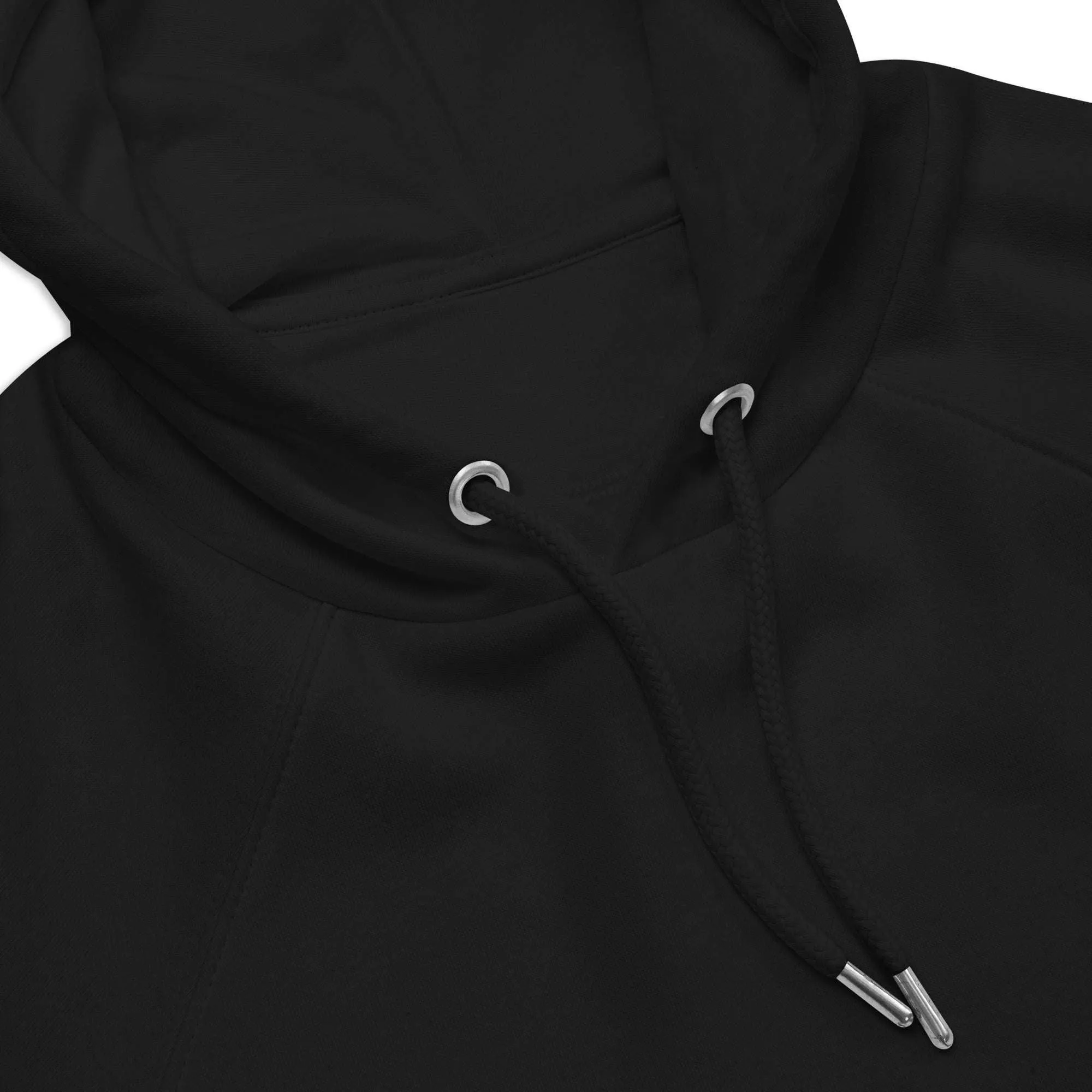 Banjee Graphic Hoodie with Streetwear Inspired B&W Design for Intersectional Pride on back of Black Eco Raglan Hoodie