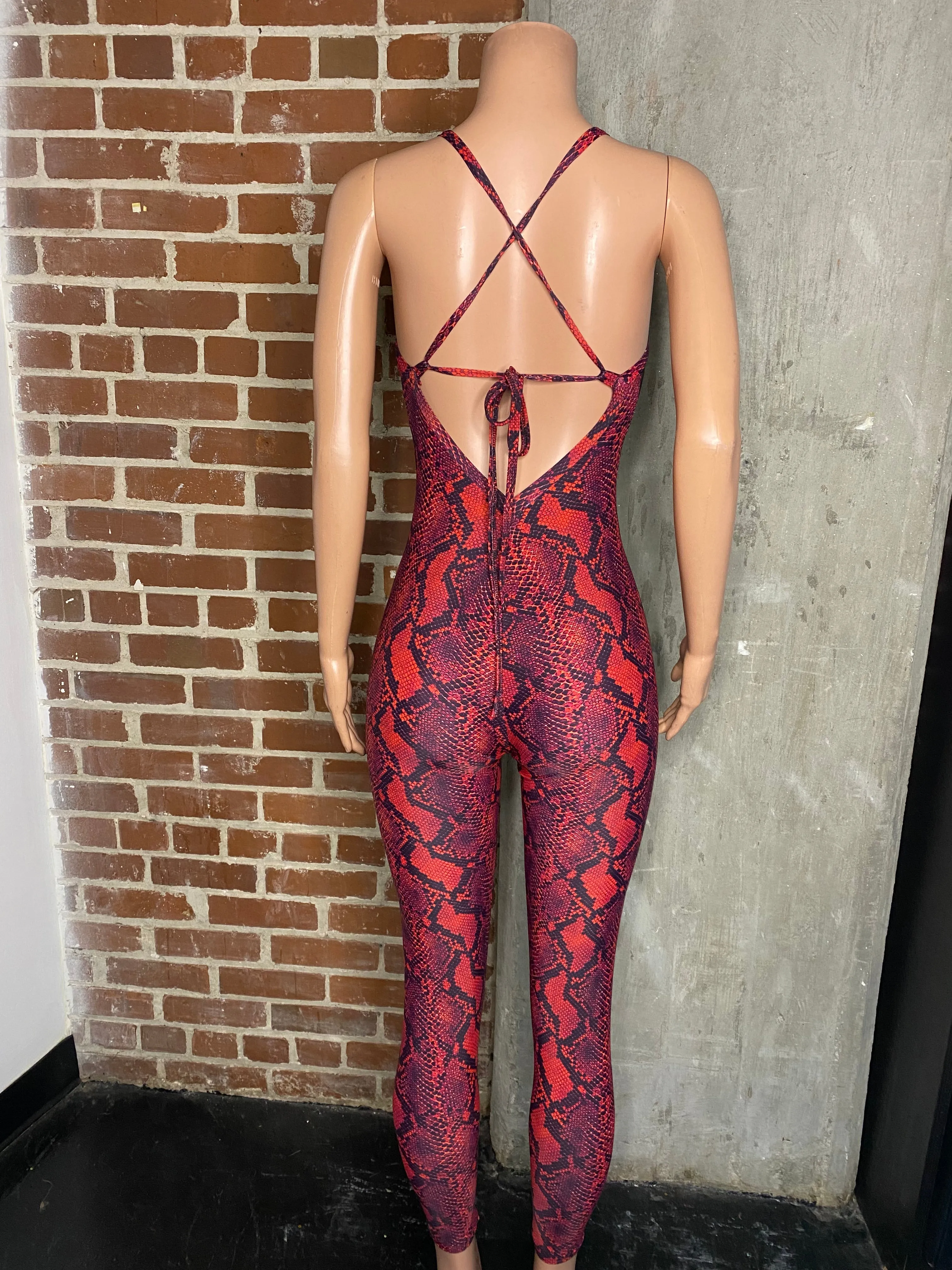 Mesh front jumpsuit with built in bra and panty