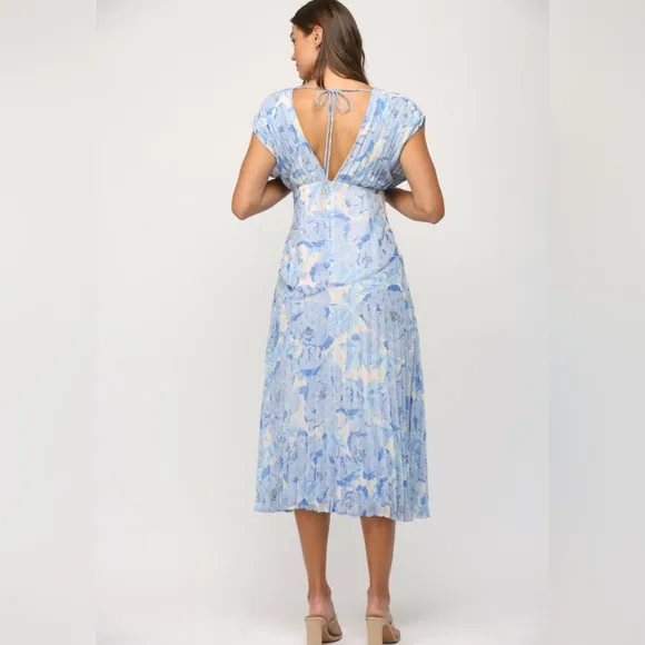 Pleated Chiffon Dress